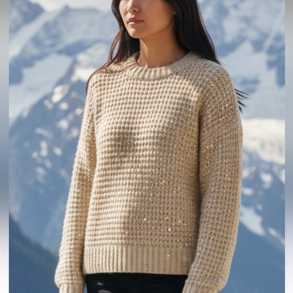 NWT DH New York oatmeal waffle sweater with scattered sequins size small